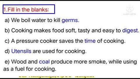GRADE 3 EVS CHAPTER 10 WHAT IS COOKING GUIDANCE VIDEO PART 1