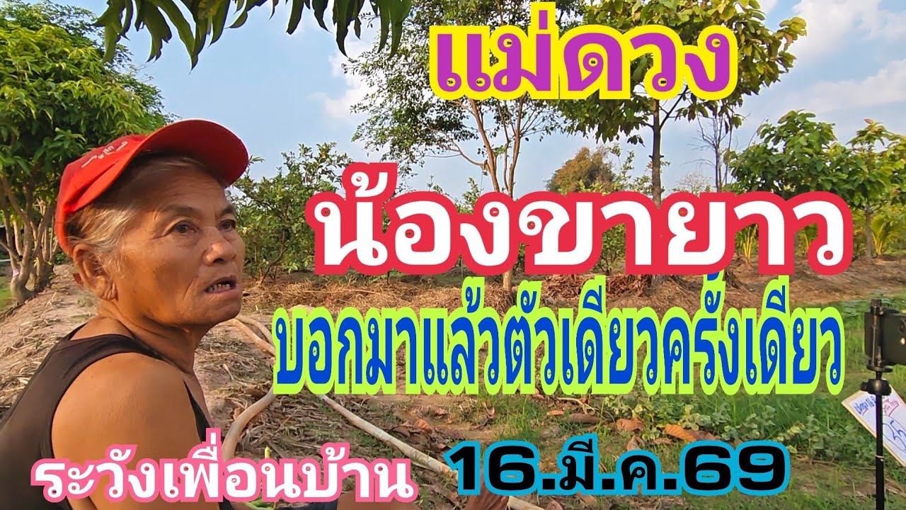 แม่ดวง น้องขายาวมาบอกแล้ว เลขตัวเดียวหางเดียว 16.มี.ค.69#หวย #เลขเด็ด 