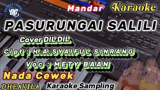 pasurungai salili karaoke cover dil dil