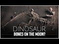 Were Dinosaur Bones Flung to the Moon When The Asteroid Hit?