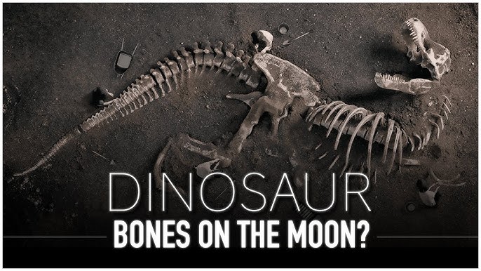 Deinocheirus fossils reveal dinosaur behind huge 'T.rex' arms