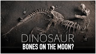 Were Dinosaur Bones Flung to the Moon When The Asteroid Hit?