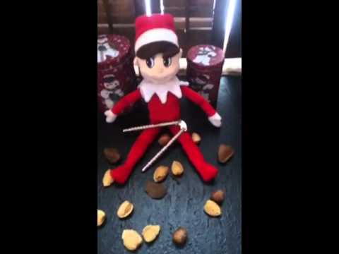 teddy elf on the shelf