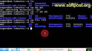 Cp Command In Bash Youtube
