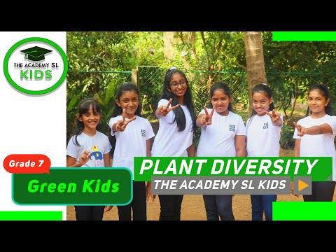 Plant Diversity |Grade