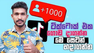 How to Grow Your Tiktok Account Fast | Tiktok Viral Trick | Sinhala