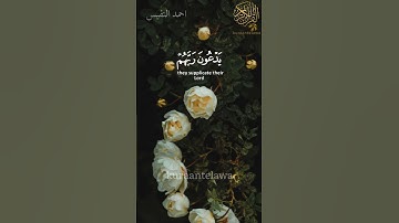 تتجافى جنوبهم عن المضاجع اجمل تلاوات الشيخ احمد النفيس حالات واتس اب قرآن مقاطع قرآن قصيره