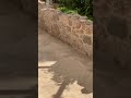 PRICELESS 12th Century Roman Ruins Found In Hotel Grounds #archeology #ruins #history