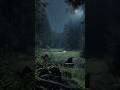 Crickets & Owls at Night | Relaxing Nature Sounds #ambientsounds #natureambience #naturesounds