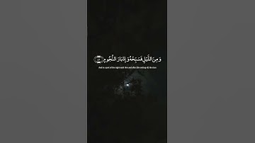 واصبر لحكم ربك فإنك بأعيننا | سورة الطور |هزاع البلوشي