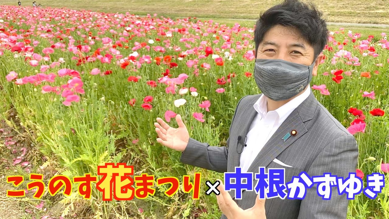 花言葉は思いやり ポピー咲くこうのす花まつり Youtube 花言葉は思いやり ポピー咲くこうのす花まつり Youtube