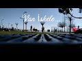 Van iskele