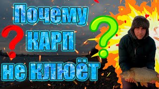 :    ?        