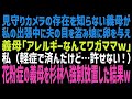【スカッとする話】出張中に見守りカメラで娘の様子をチェックしていたら、義母が夫の目を盗んで娘に信じられないことをしている様子が。ブちぎれた私は、義母を徹底的に追い詰めるために…【修羅場】【朗読】