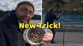 An old dog learning new tricks