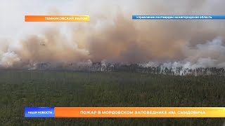 Пожар в Мордовском заповеднике им. Смидовича