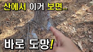 여러분! 산에서 이거 보면 바로 도망가세요. screenshot 5