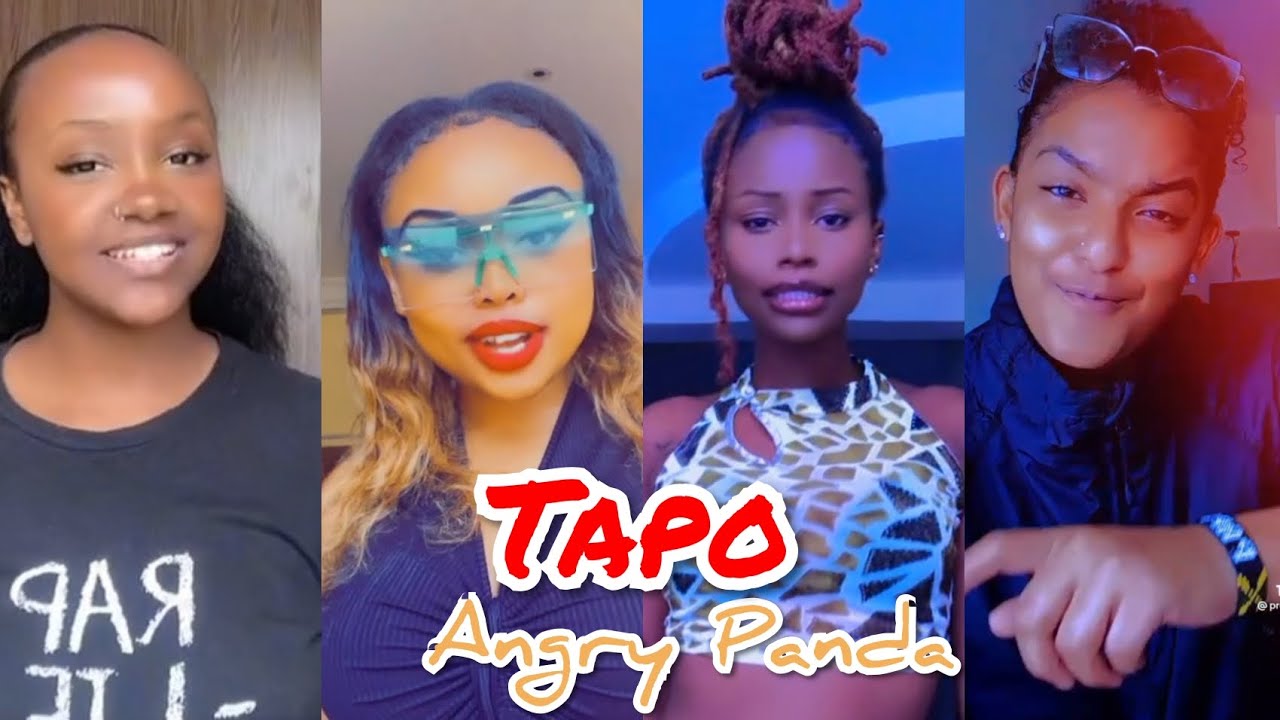 Angry Panda   Tapo Tapo Challenge Best Compilation 