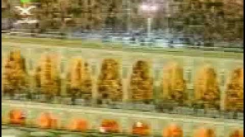 سورة الفاتحة الشيخ سعود الشريم صلاة التراويح عام 1420هـ