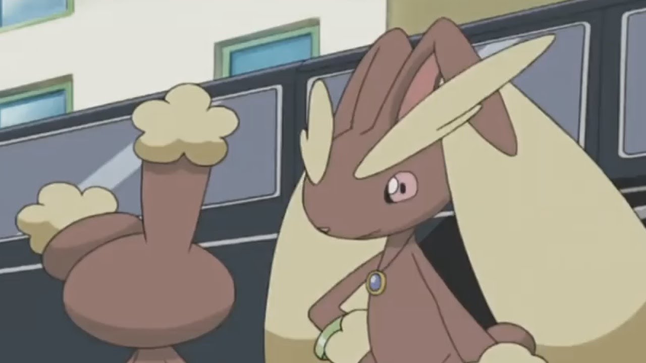 Lopunny And Buneary 