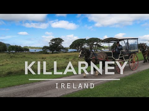 فيديو: كيلارني أيرلندا أسباب الزيارة