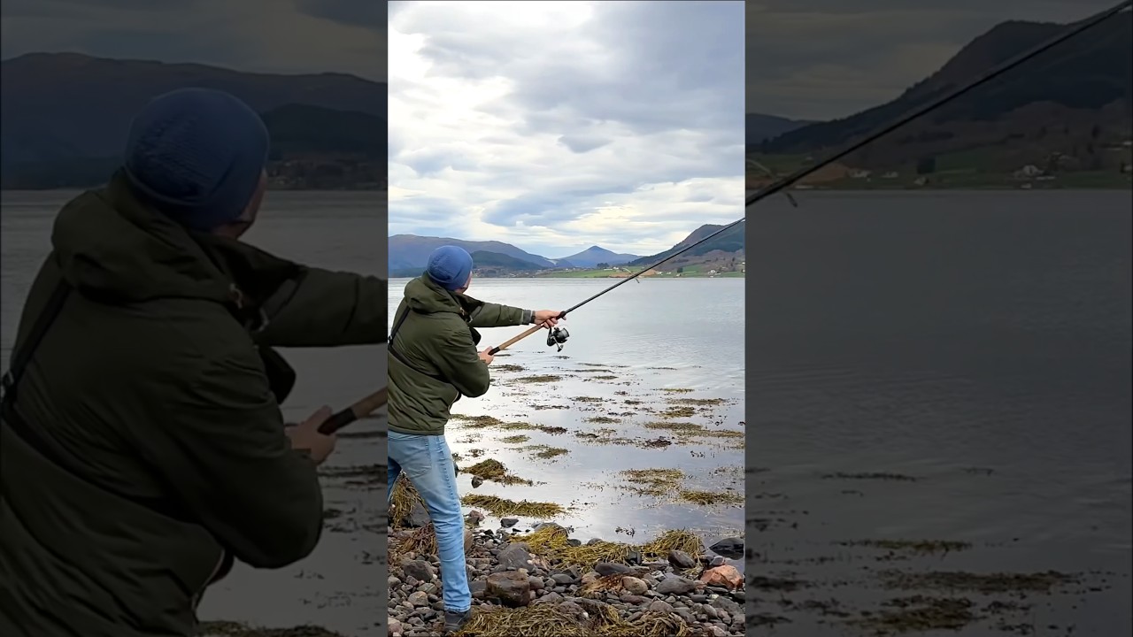 Вообще не ожидал поймать ЭТО на донку!