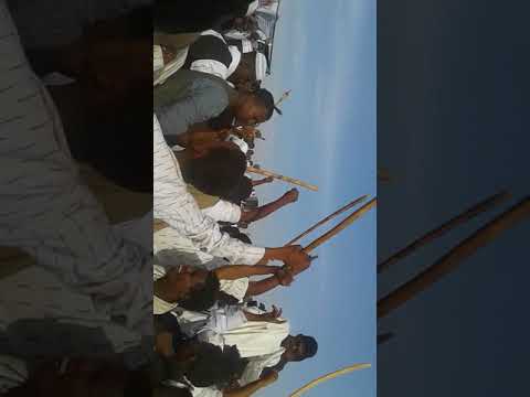 عريس القرن العريس علي نوراي