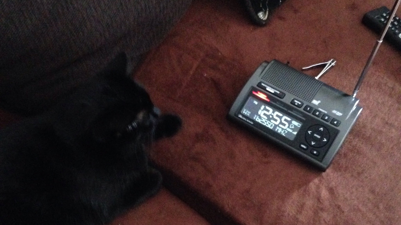 Macon, Georgia Tornado and Severe Weather Coverage NOAA Weather Radio KXI89