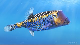 There's Something Fishy About This Car | Today's Creation Moment Update
