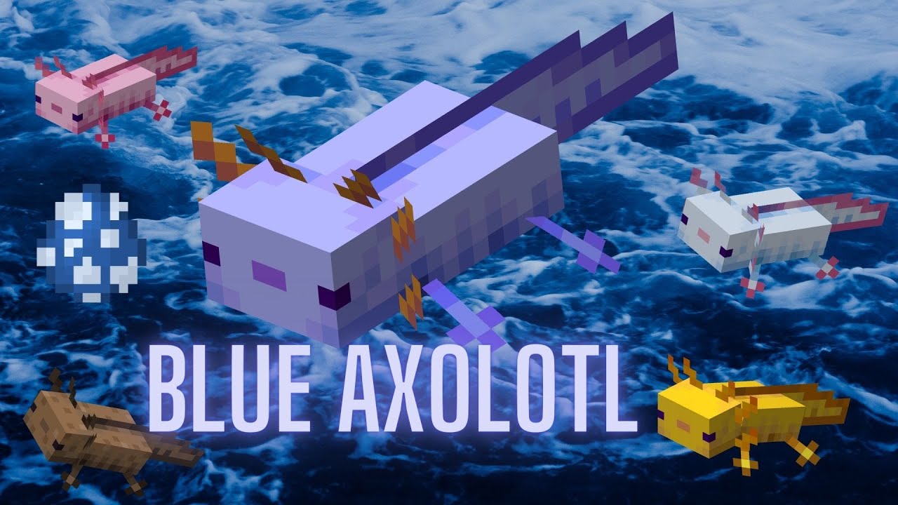 Blue Axolotl Minecraft Spawn Egg 1.19 Java Minecraft 1.13 l 1.14 l 1.15