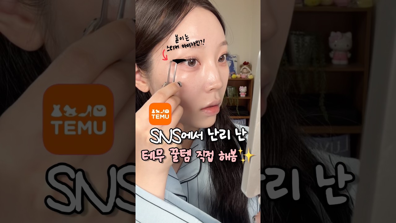 요즘 SNS에서 난리난 테무 꿀템 3가지?! 아이라인 노글루 속눈썹 추천템!!