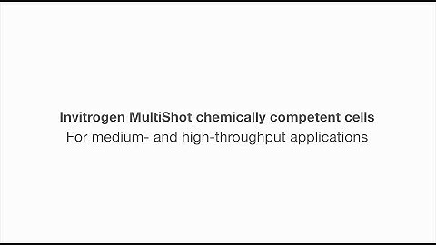 Invitrogen MultiShot E. coli configuration overview