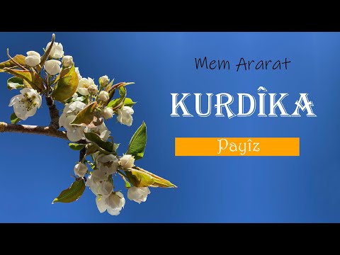 Mem Ararat-Payîz ( Official video)