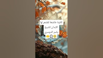تلاوة خاشعة تقشعر لها الابدان للشيخ ياسر الدوسري#ياسر_الدوسري #تلاوة_خاشعة #pourtoi #qouran