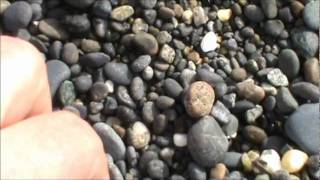 Find a moonstone at Ocean Shores, WA