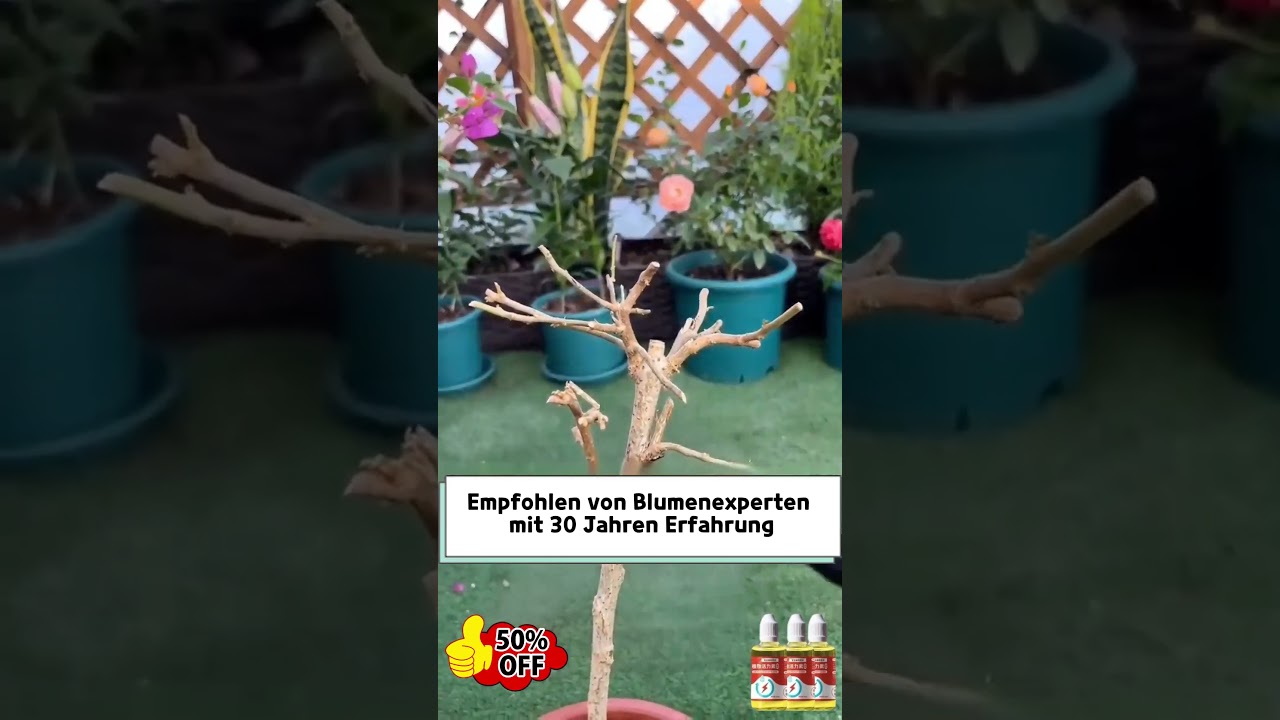 Pflanzenwachstums-Energizer [Konzentriertes Feenwasser]