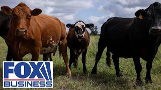 FAMILY FARMS ‘SQUEEZED’: Rancher warns rising costs threaten survival