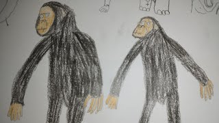 Sound Effects-Australopithecus Africanus