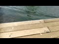 fast rc boat