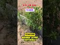 Site for Sale In Mysore #mysore #home #realestateagent #villa#commericalplots #primeproperty #like