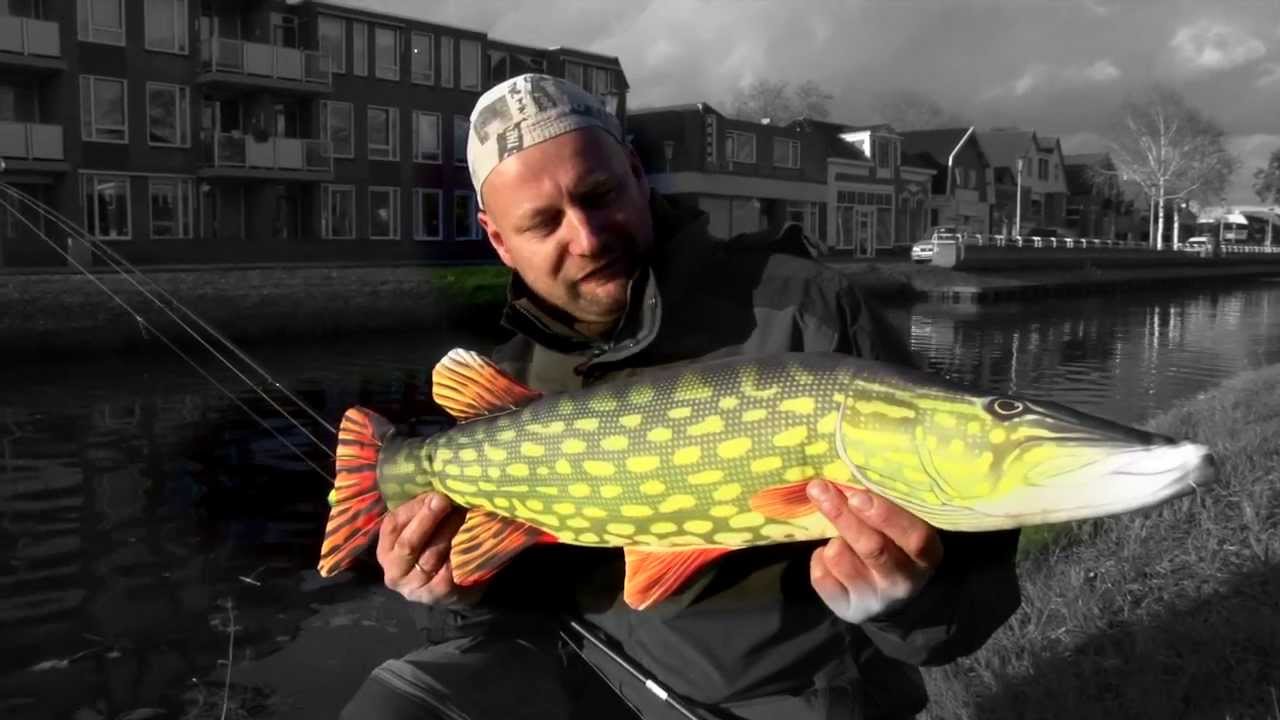 Matze Koch und seine Kuschelfische