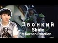 Звонкий - Shine (Korean Reaction) 러시아 뮤직비디오에 한국이??