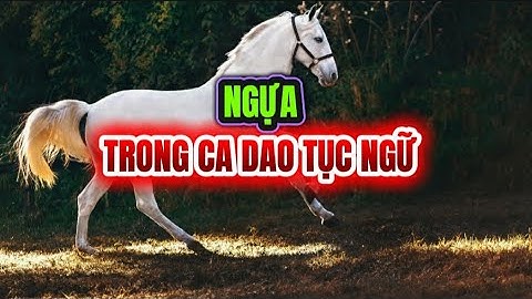Con ngựa trong văn học dân gian: Những câu ca dao, tục ngữ chứa từ ngựa, mã thú vị nhất