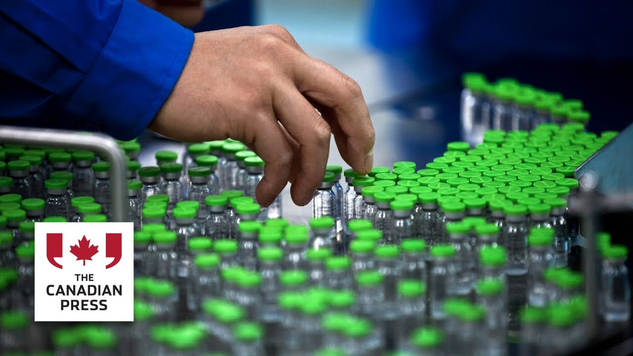 Experts urge Ottawa to build vaccine stockpile for H5N1 bird flu - YouTube