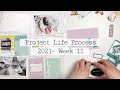 Project Life Process 2021- Week 11