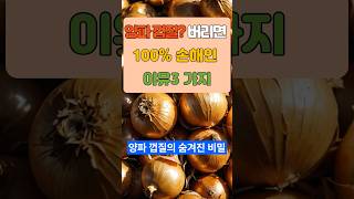 양파 껍질? 버리면 100% 손해인 이유 3가지