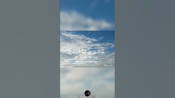 فقال رب إني لما أنزلت إلي من خير فقير - سورة القصص - الآية 24 - القارئ #ماهر_المعيقلي #سورة_القصص