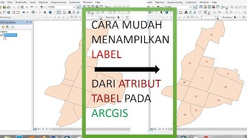 WAH GINI CARANYA MENAMPILKAN LABEL DARI ATRIBUT PADA ARCGIS