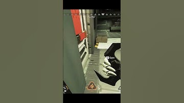 Team Wiped | #apex #apexlegends #apexclips #apexlegendsclips #funnymoments #funny