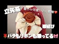 【結び方解説⑤】薔薇とリボンの立矢系帯結び